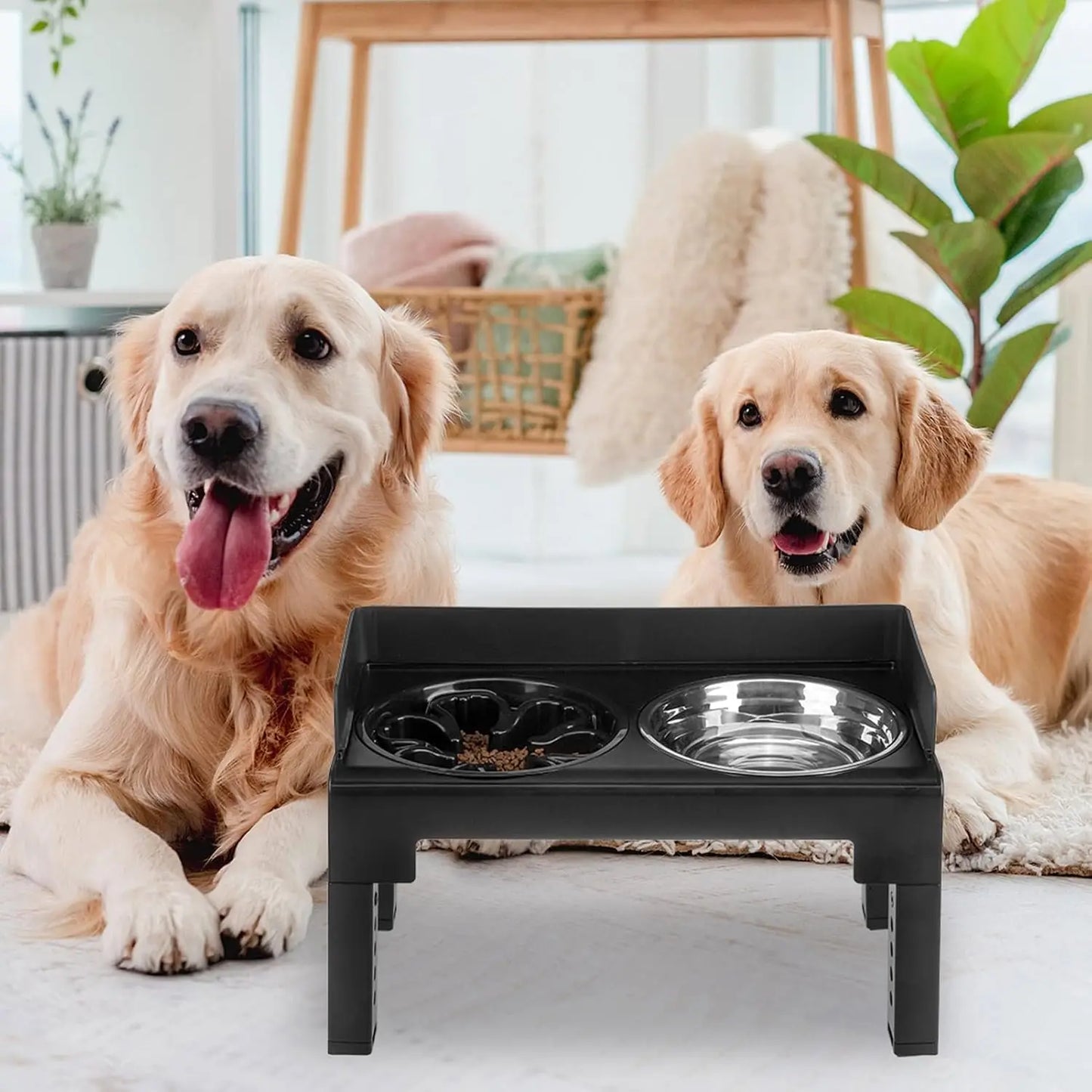 Ciotole Rialzate per Cani 6 Altezze Regolabili - 2 Ciotole Acciaio Inox Anti-Scivolo