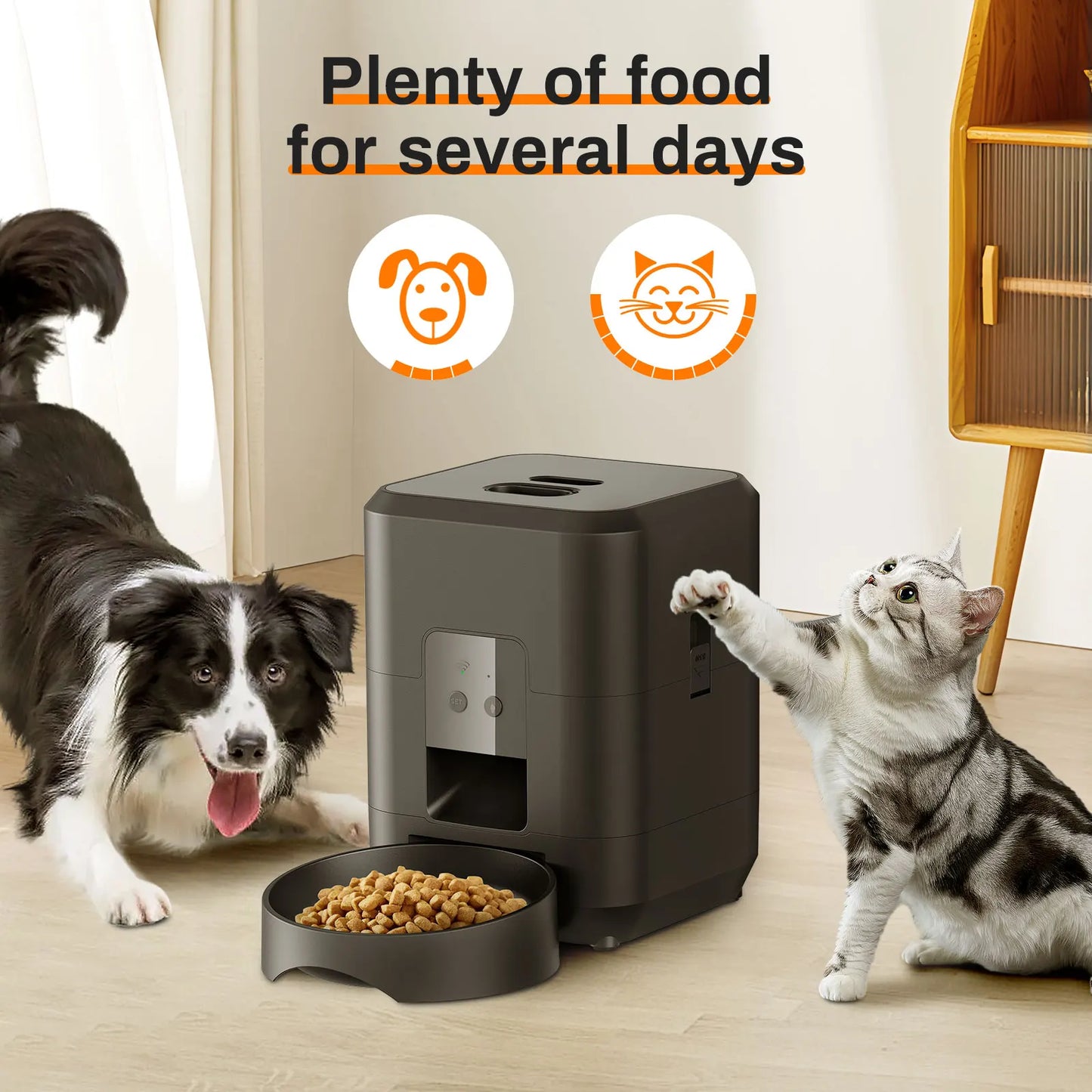 Distributore Automatico Cibo Cani Gatti - Timer Programmabile Smart