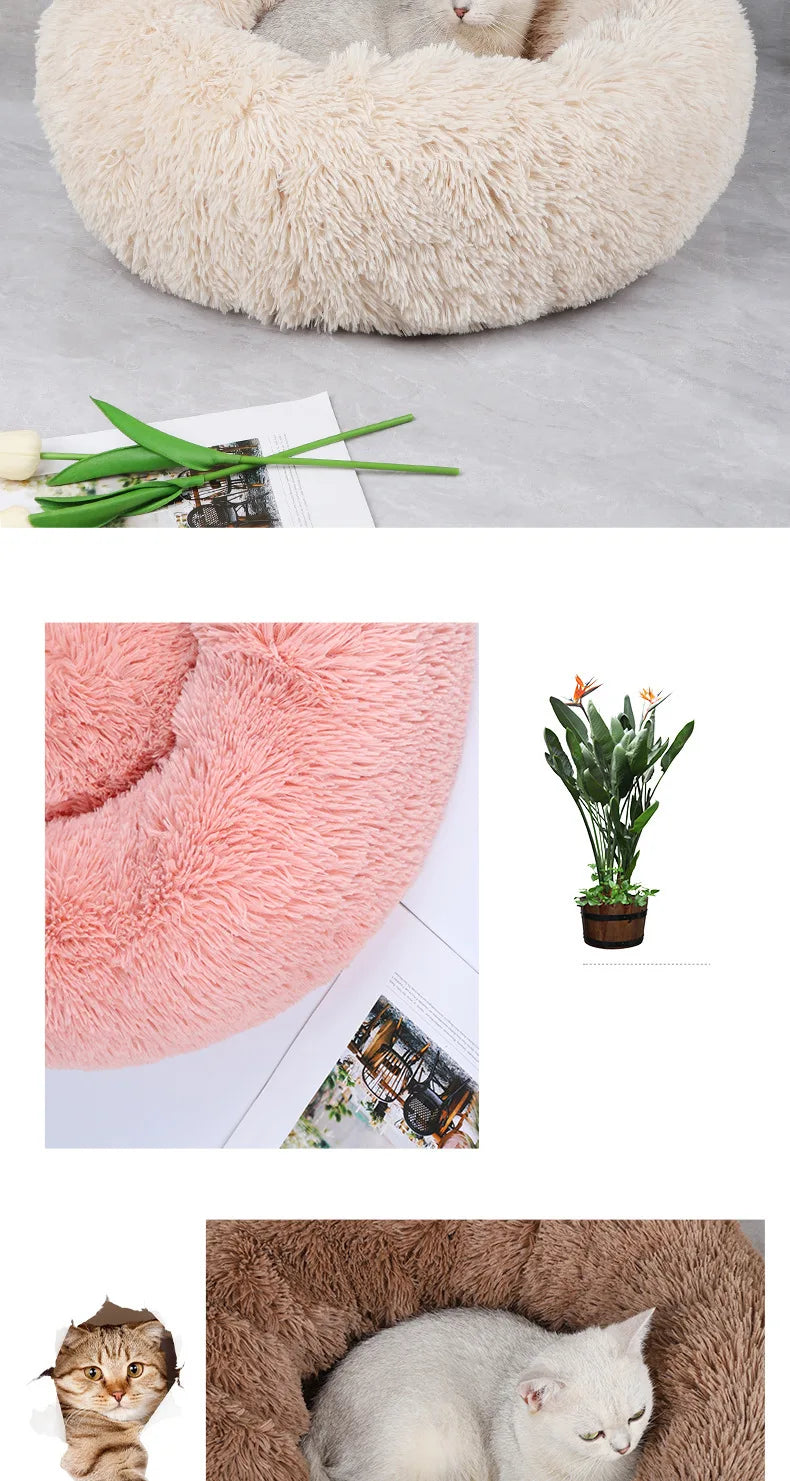 Cuccia Morbida in Peluche per Cani e Gatti - Nido Caldo Invernale Rotondo, Sfoderabile e Lavabile, Universale 4 Stagioni