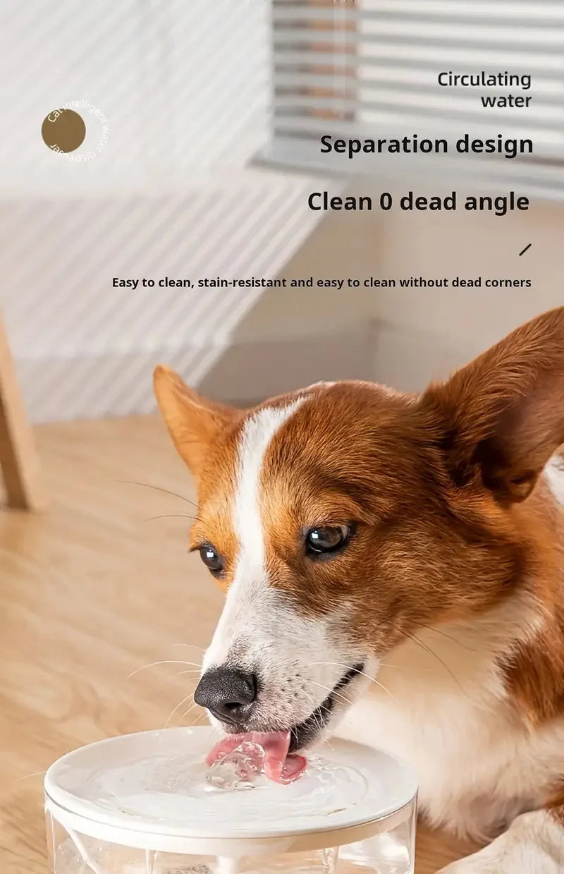 Fontana Acqua Gatti Cani USB Automatica - Silenziosa 5V