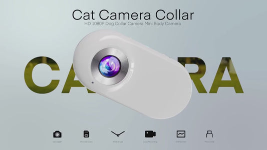 Collare per localizzatore di cani 1080P ad alta definizione, non è necessario per collare per gatti WiFi, fotocamera sportiva/sport con registrazione video