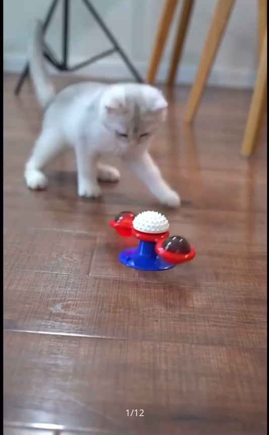 Giocattolo per Gatti: Mulino a Vento Girevole Interattivo, Tiragraffi, Spazzola per Pelo, Giocattolo con Erba Gatta per Gattini e Gatti, Articoli per Animali Domestici