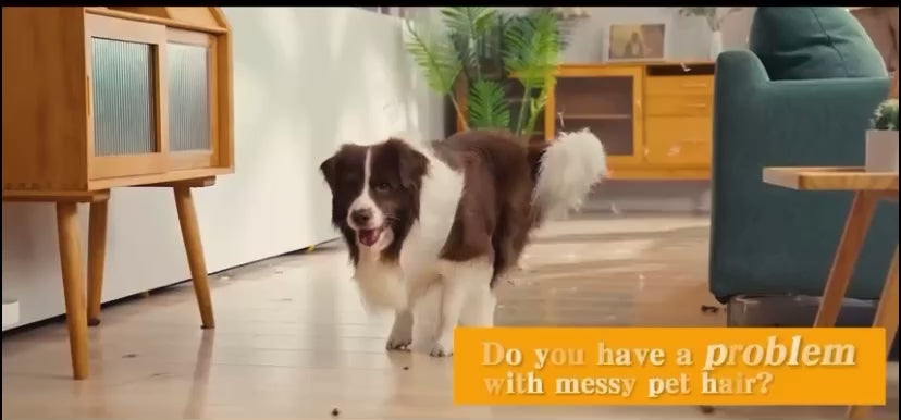 Aspirapolvere Toelettatura Cani con Tosatrice, Limaunghie, 7 Strumenti per Rimozione Pelo e Pulizia Casa Blu